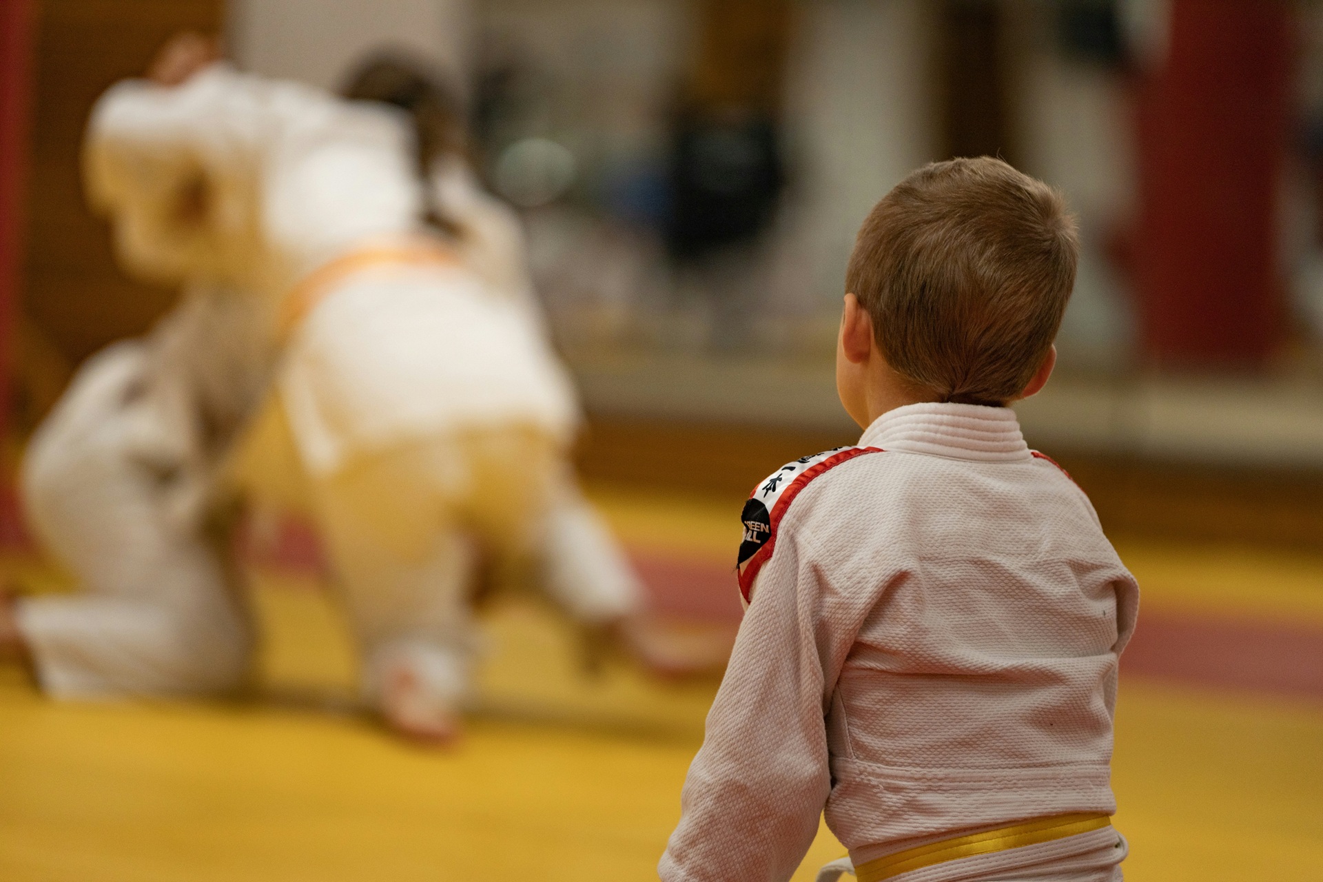 AD FRAIMOR JUDO