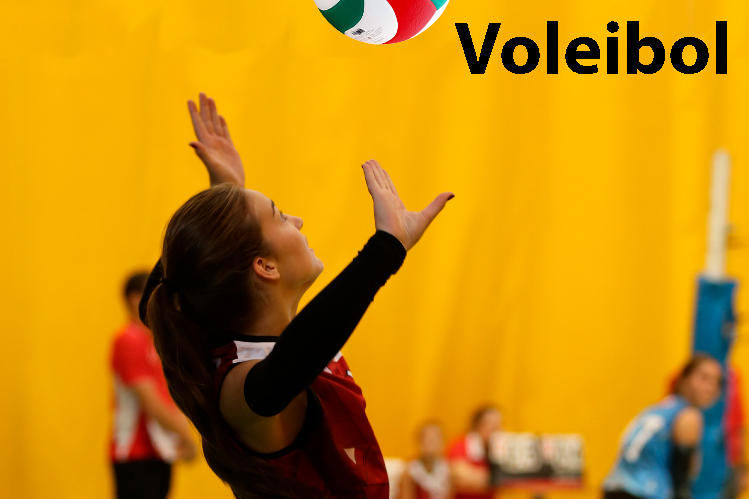 VOLEIBOL SANSE